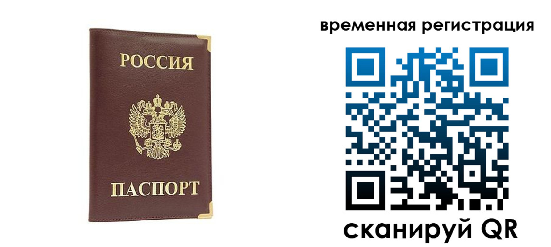 прописка от собственника в Курской области